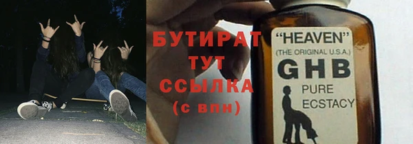 сатива Горняк