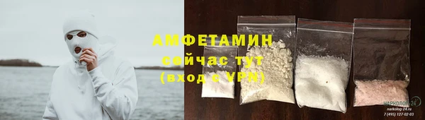 сатива Горняк
