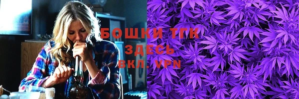 сатива Горняк