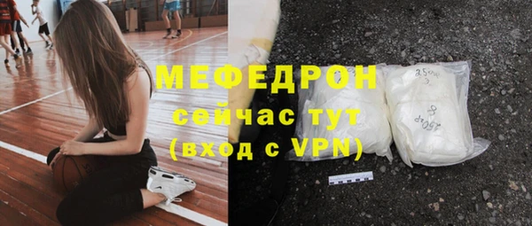 сатива Горняк