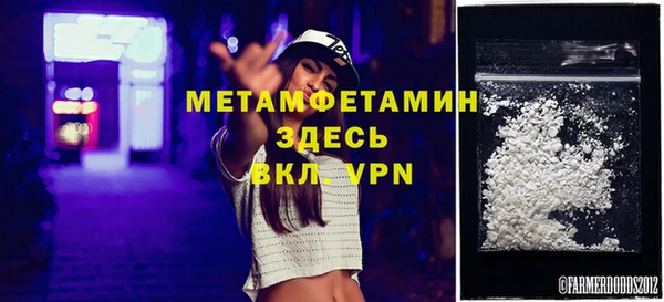 сатива Горняк