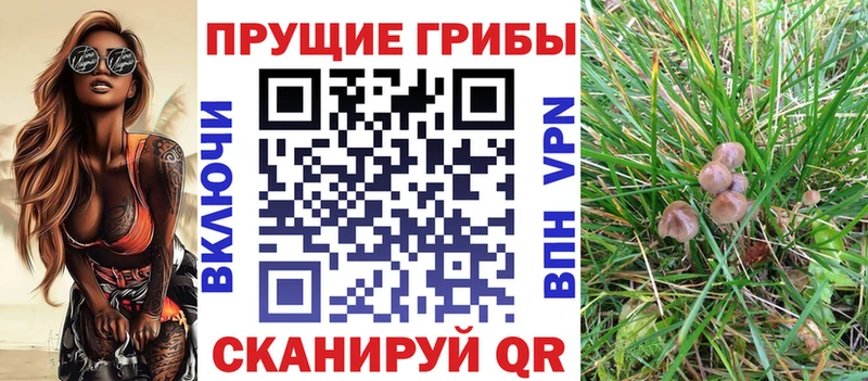 продажа наркотиков  Москва  Псилоцибиновые грибы мухоморы 