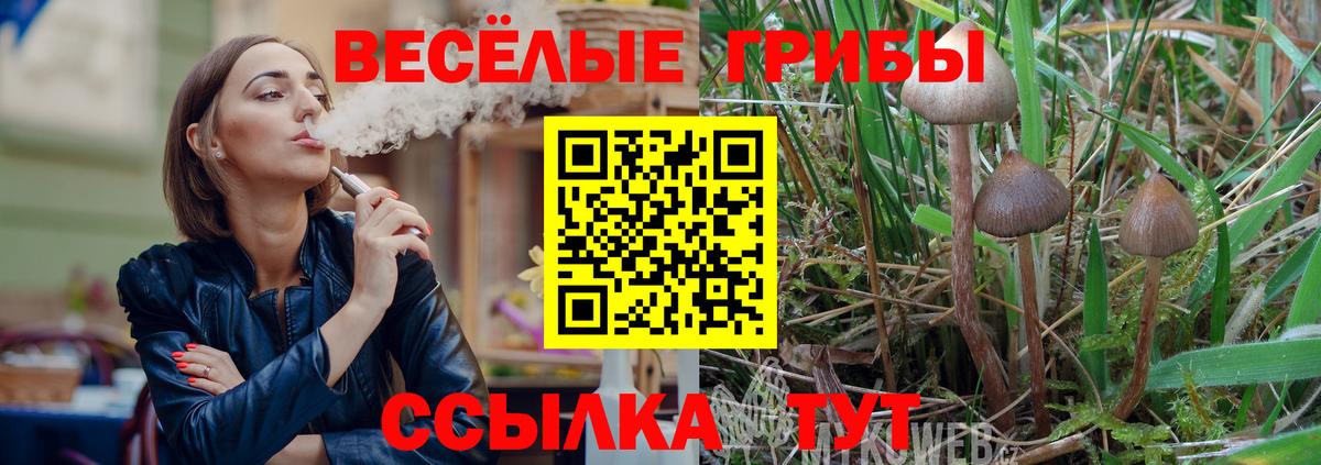 Москва  Галлюциногенные грибы MAGIC MUSHROOMS  Псилоцибиновые грибы мухоморы  Вход с VPN 