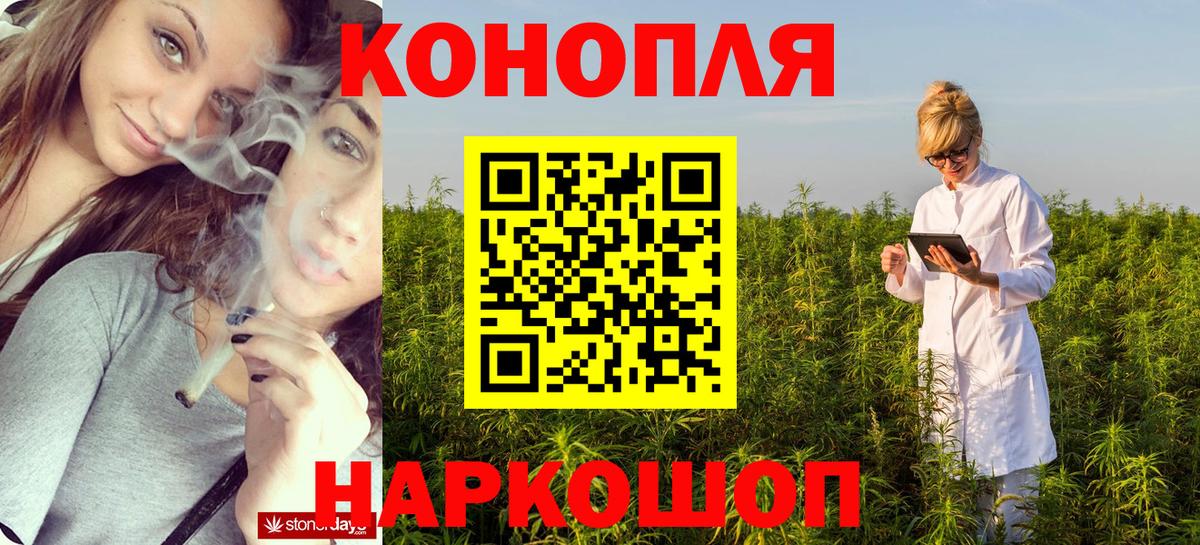 Канабис семена Москва